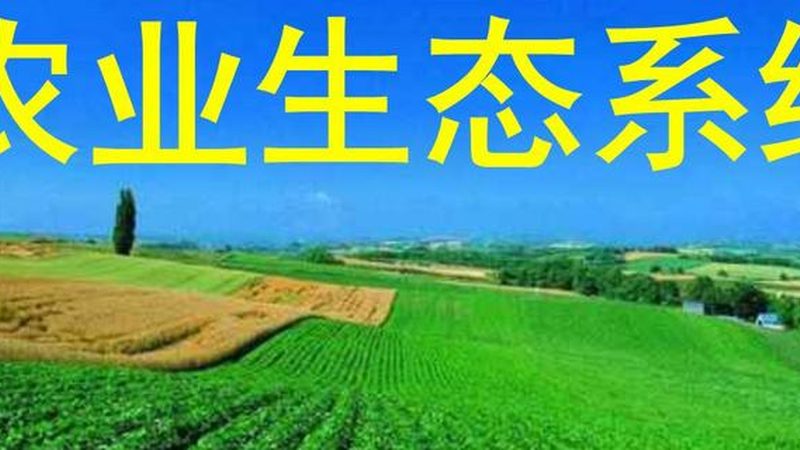南方水果种植，哪些品种利润高？**