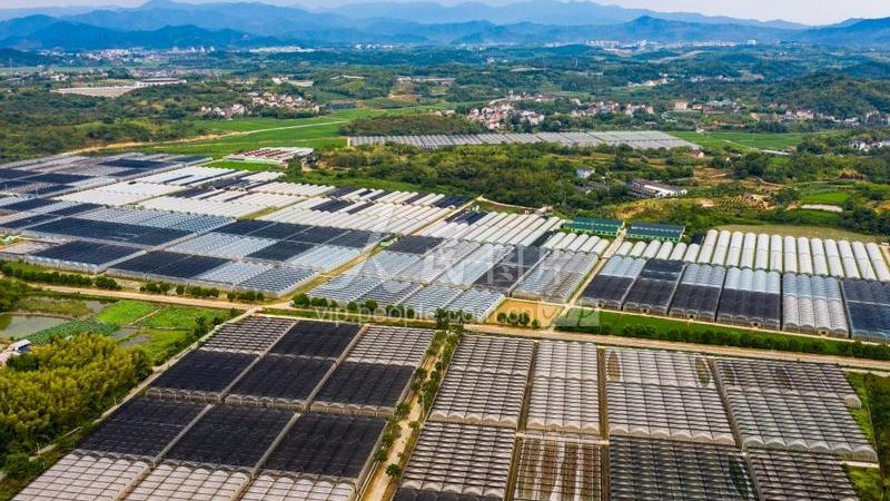 补贴政策知多少？农村种植养殖补贴政策区别解析