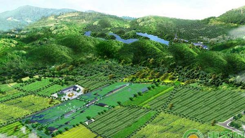 农村合作社联合社：从零开始，共建农业新生态**