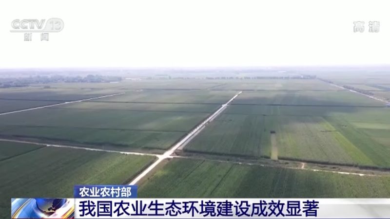 河南农资价格波动背后的市场逻辑**