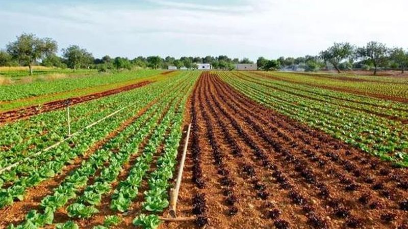 在了解注册条件后，需要准备以下注册材料：