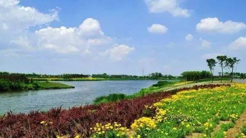 合作社的经营范围：种植类合作社如何拓宽服务领域**