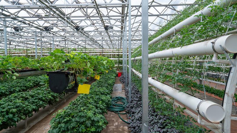 现代农业园区规划：技术规范与关键要素解析