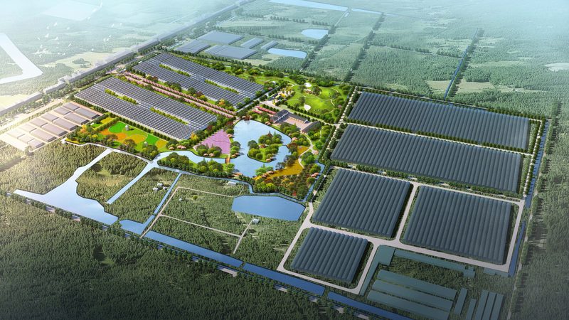 合作社年报漏报，如何补报及注意事项