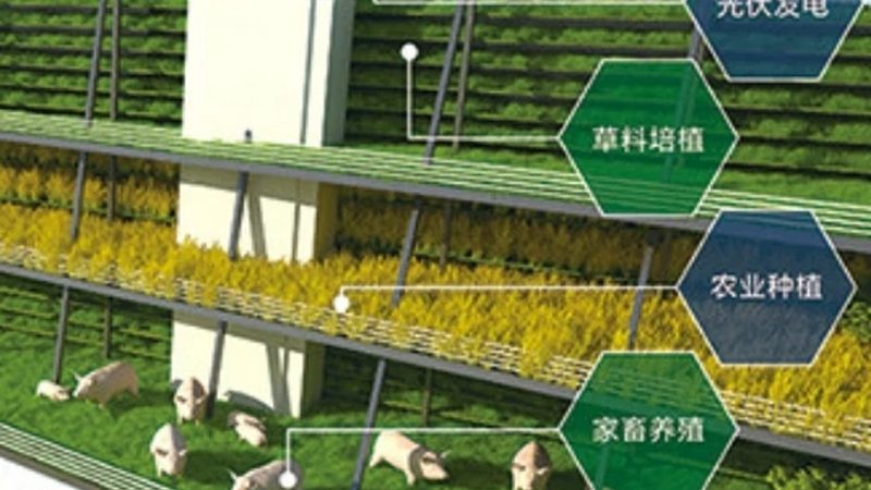 智能温室控制系统：农业现代化的关键纽带