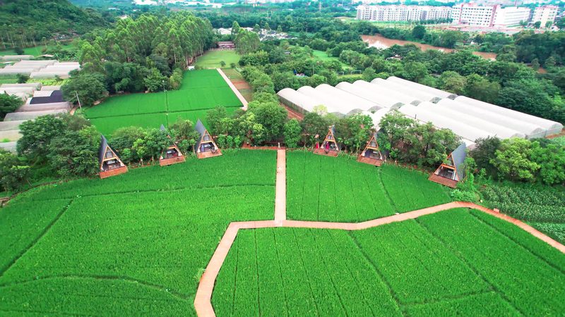 山东蔬菜大棚保温被：如何选择合适的保温材料？**