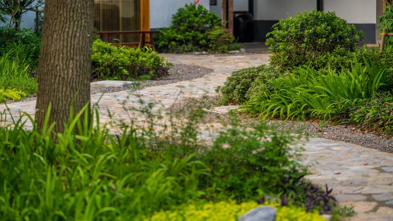 山东粮食种植机械化设备：助力农业现代化的关键一环