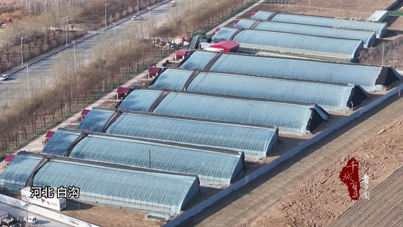 农业种植技术学习网站：如何选择优质平台助力种植效益提升