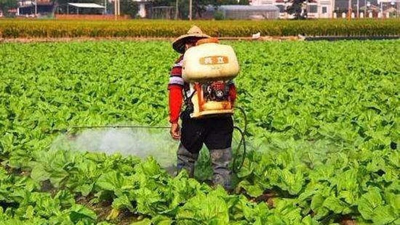 农民专业合作社工商注册材料清单